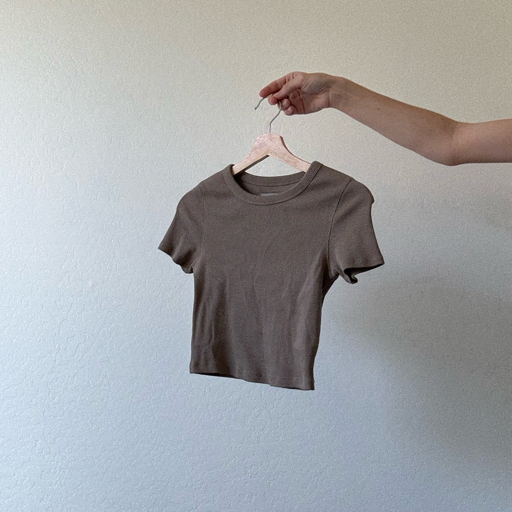 Everlane Brown Fitted Crop T-Shirt